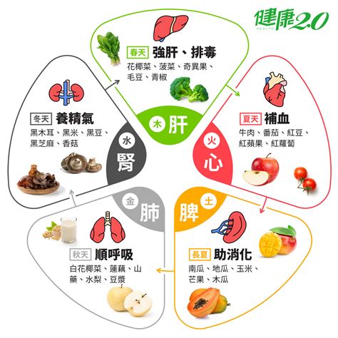 五行 食物